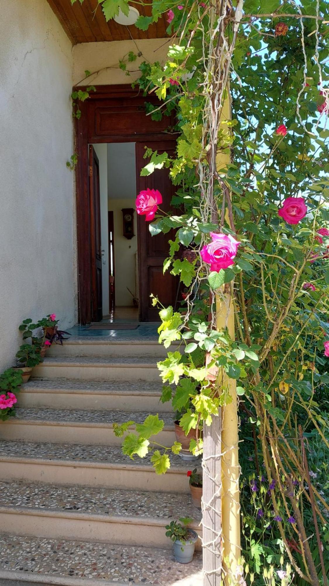 Guesthouse "Door" In Sighnaghi Eksteriør bilde